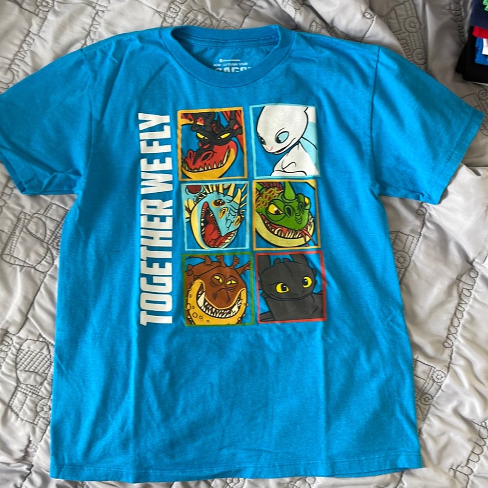 Boy’s Dreamworks “How to Train Your Dragon the Hidden World” Shirt in Size M